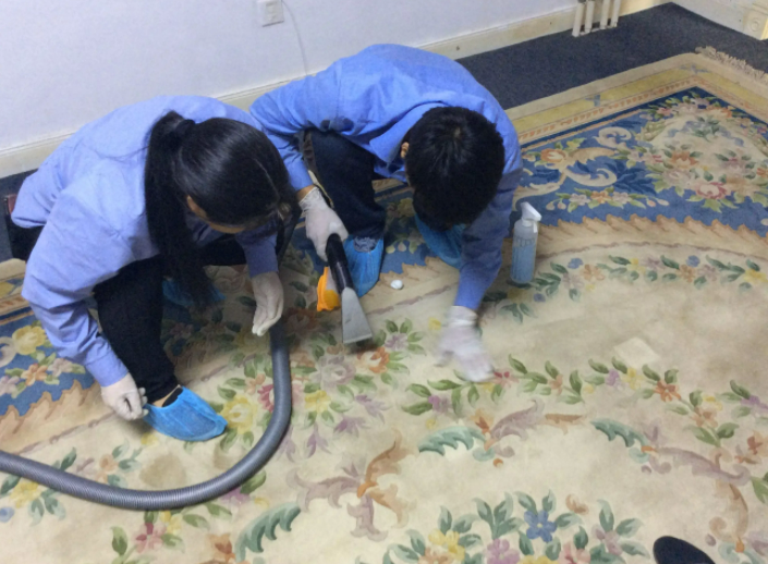 天津专业地毯清洗公司
